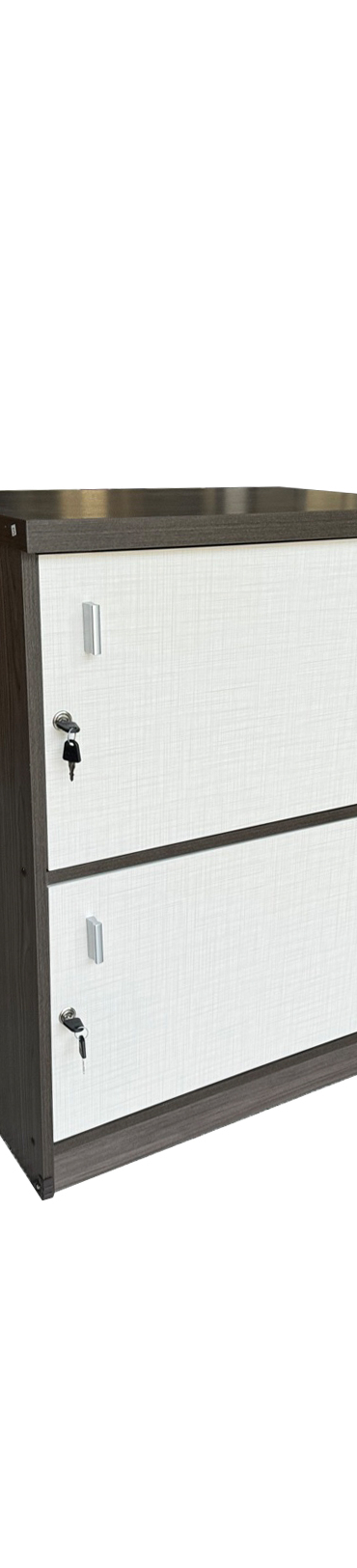 WM-306-locker-2-lvgfb-1